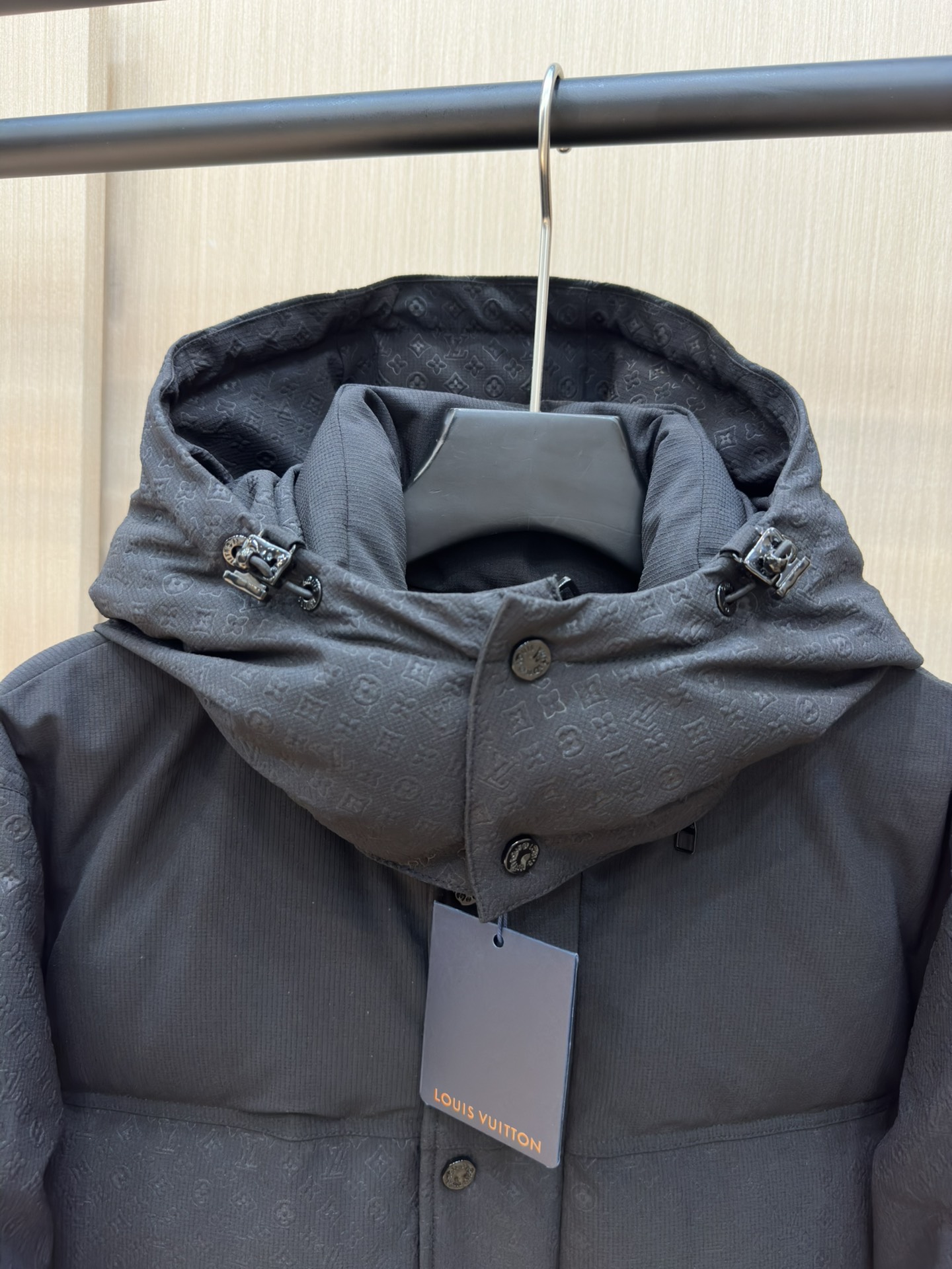 Louis Vuitton Down Jackets